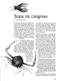 Sopa de cangrexo